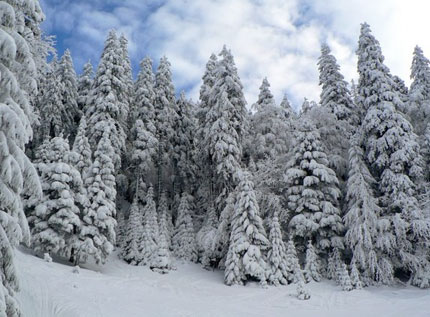 Зима в Трансильвании